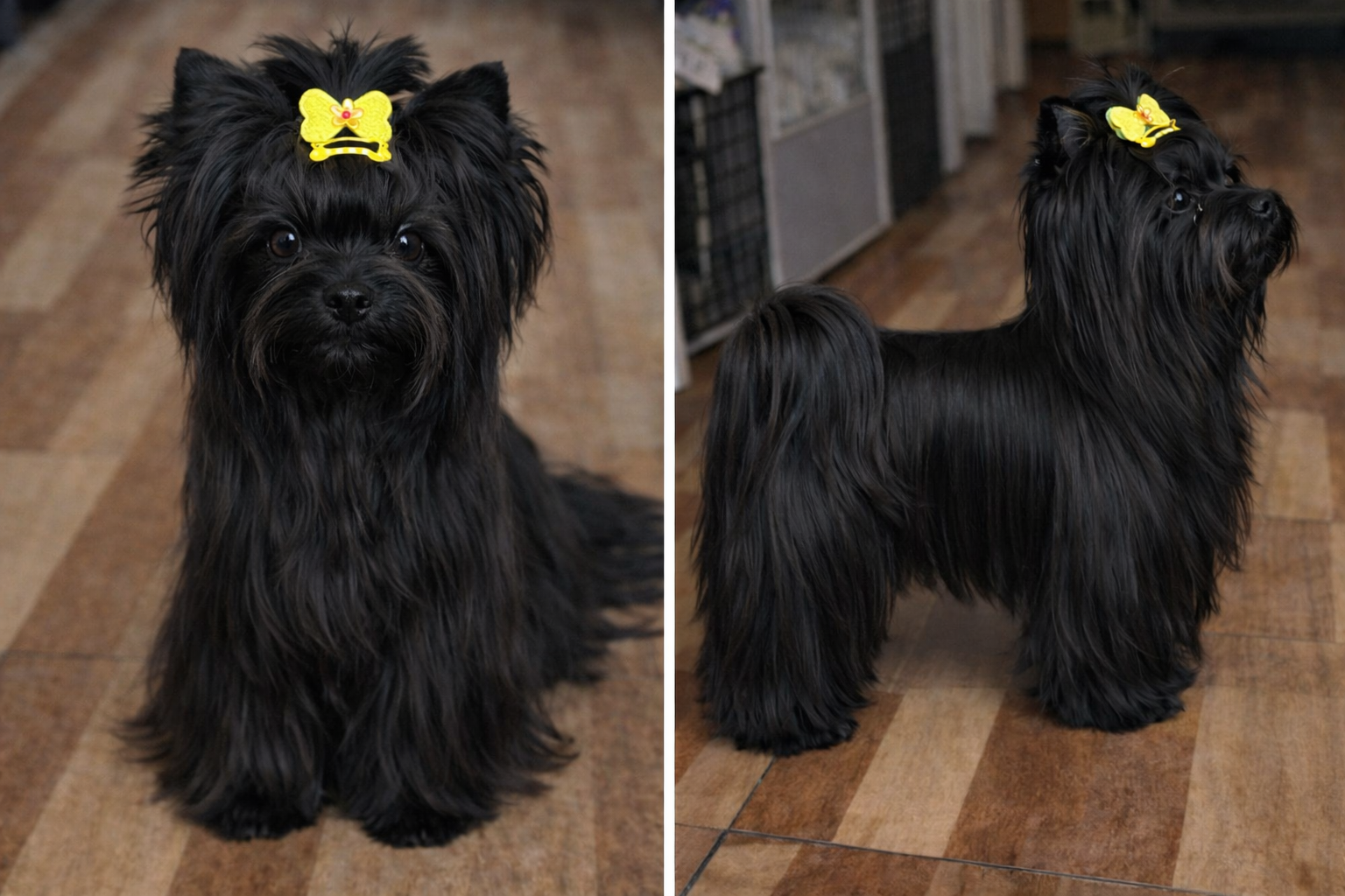 ChatGPT Image 29. 12. 2025, 19_17_25